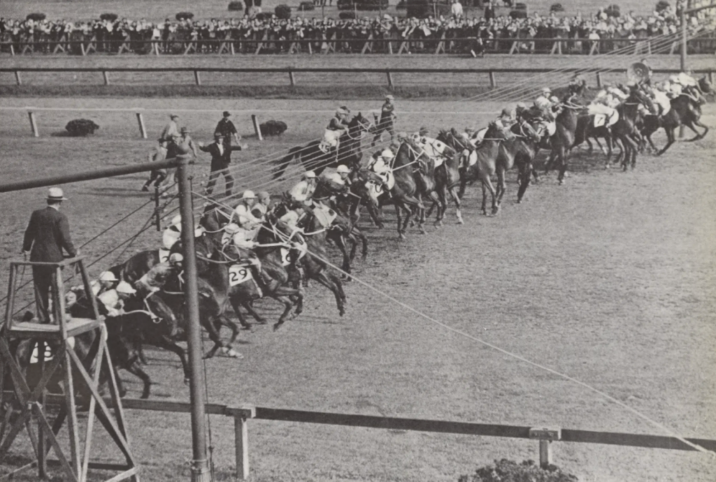 馬・競馬の基礎知識】～日本編・第三部～ | うみねこ博物館
