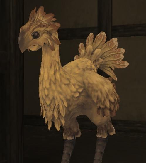 FF11：チョコボ育成 | 【なーんてね…フフ】