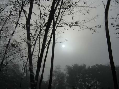 朝靄(あさもや)の中の太陽は! | 何の写真~田舎が見える~