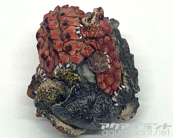 アクアプラントジャーナル