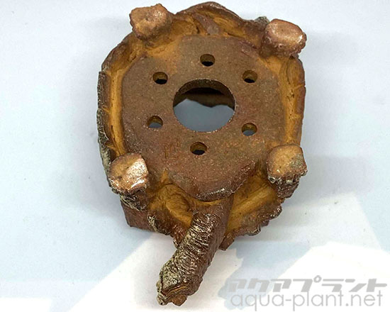 アクアプラントジャーナル