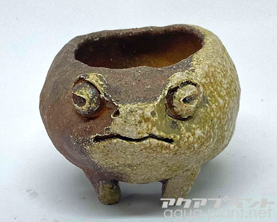アクアプラントジャーナル