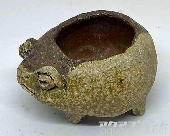 アクアプラントジャーナル
