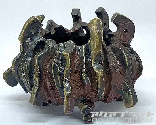 アクアプラントジャーナル