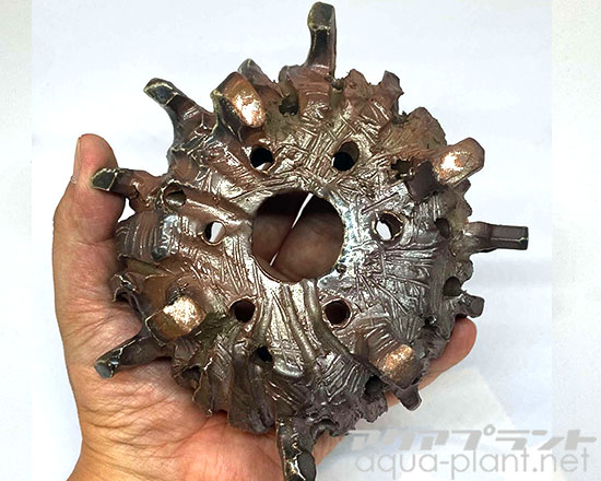 アクアプラントジャーナル