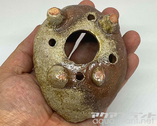 アクアプラントジャーナル