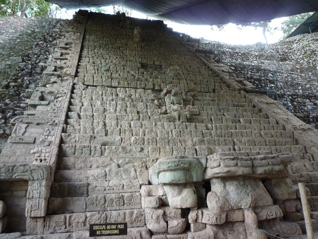 Copan3