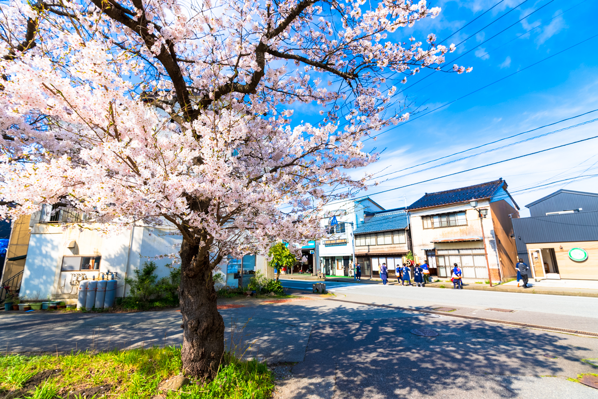 2024.04.12 熊野神社例祭(尾花・本屋敷の鬼太鼓)I | 佐渡の四季+α 2024.04.12 熊野神社例祭(尾花・本屋敷の鬼太鼓)I | 佐渡の四季+α