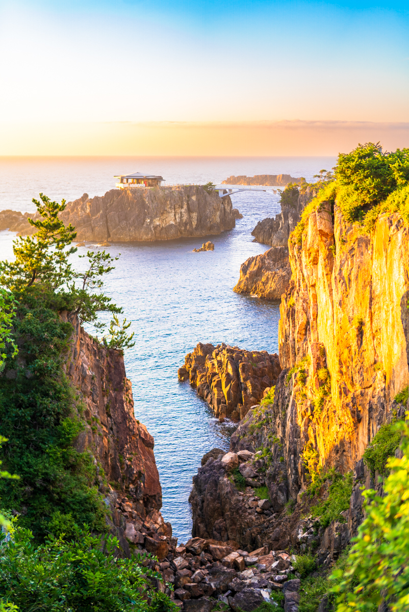 北狄ひまわり畑」の夏 | 佐渡の四季+α