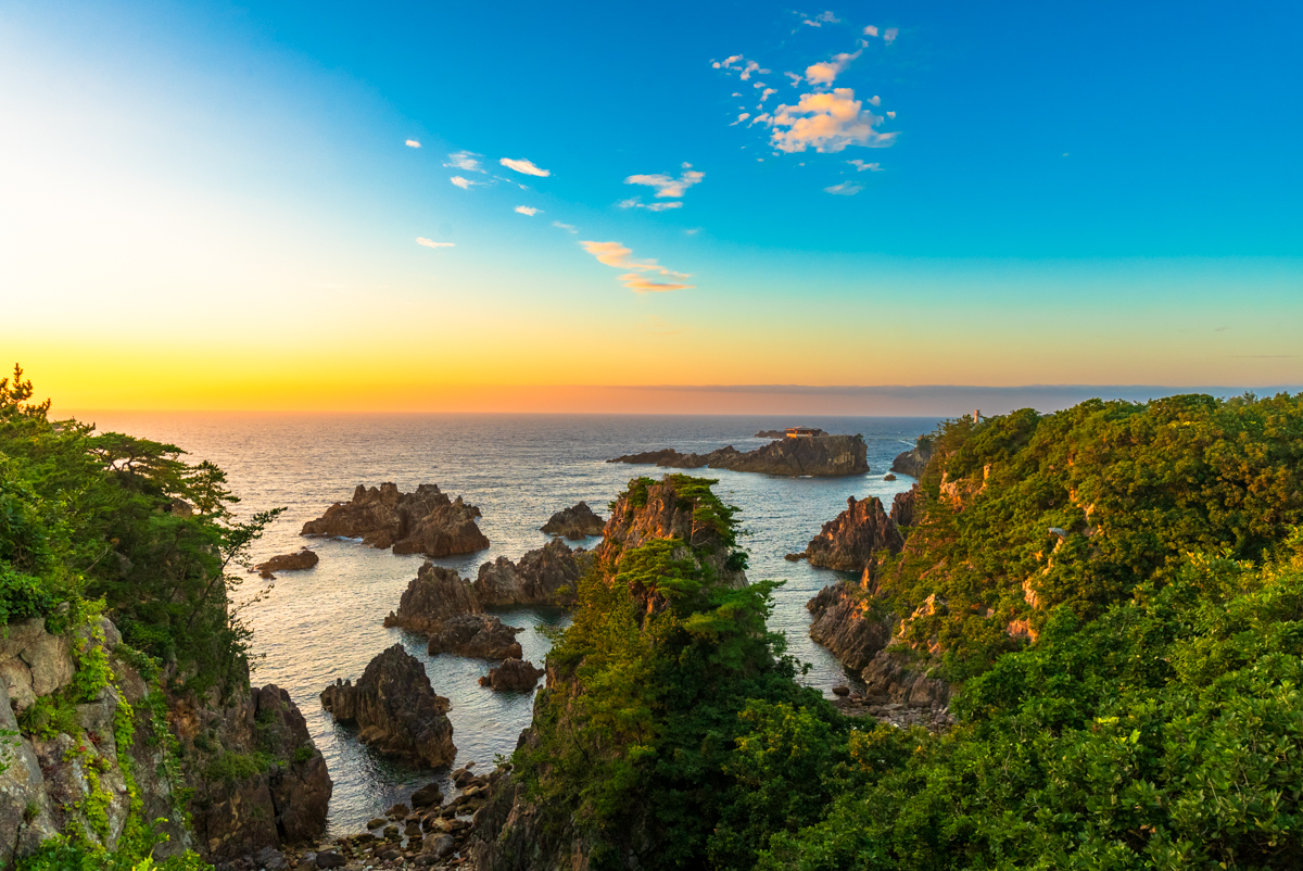 北狄ひまわり畑」の夏 | 佐渡の四季+α
