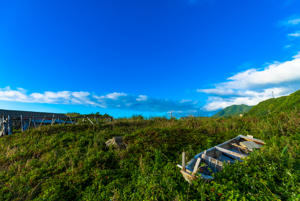 過ぎ去りし「石名の向日葵畑」の夏 | 佐渡の四季+α