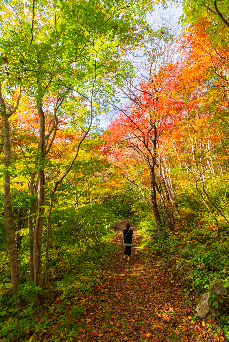 紅葉山公園 | 佐渡の四季+α