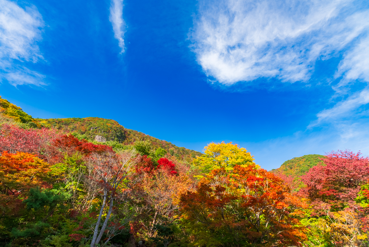 紅葉山公園 | 佐渡の四季+α