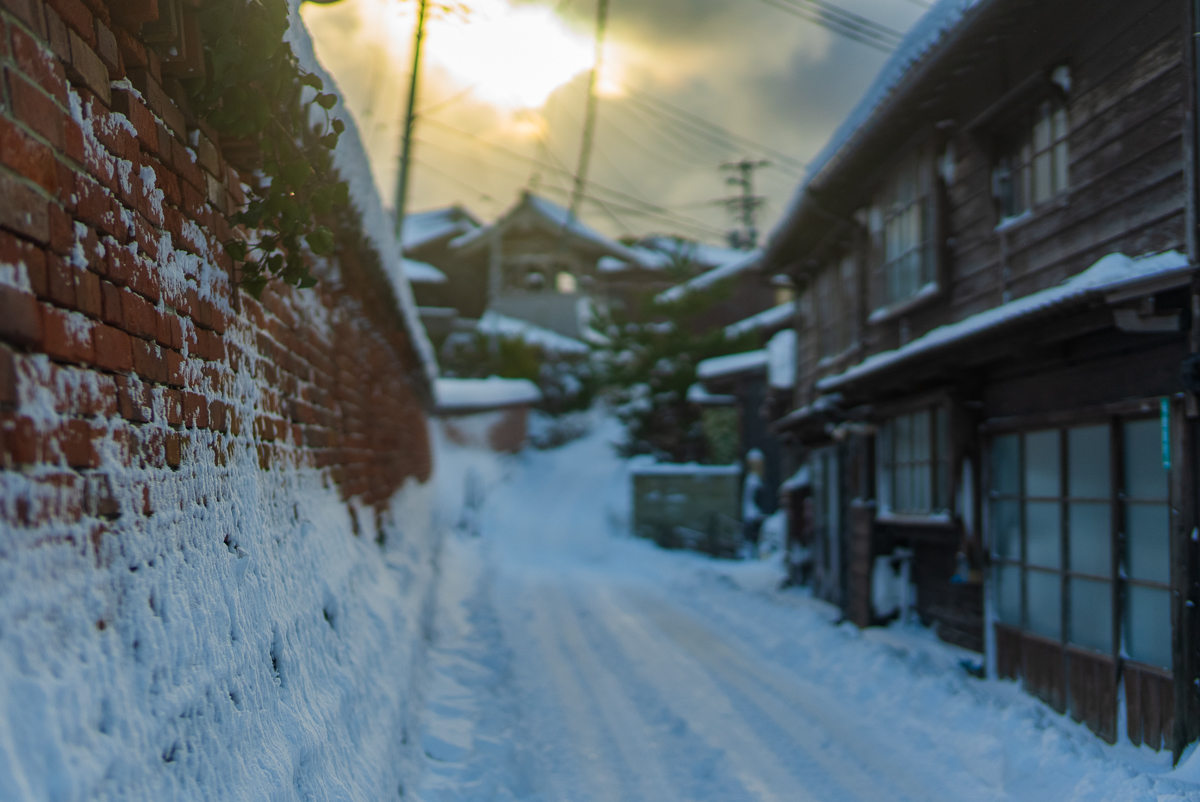 大雪一過 | 佐渡の四季+α