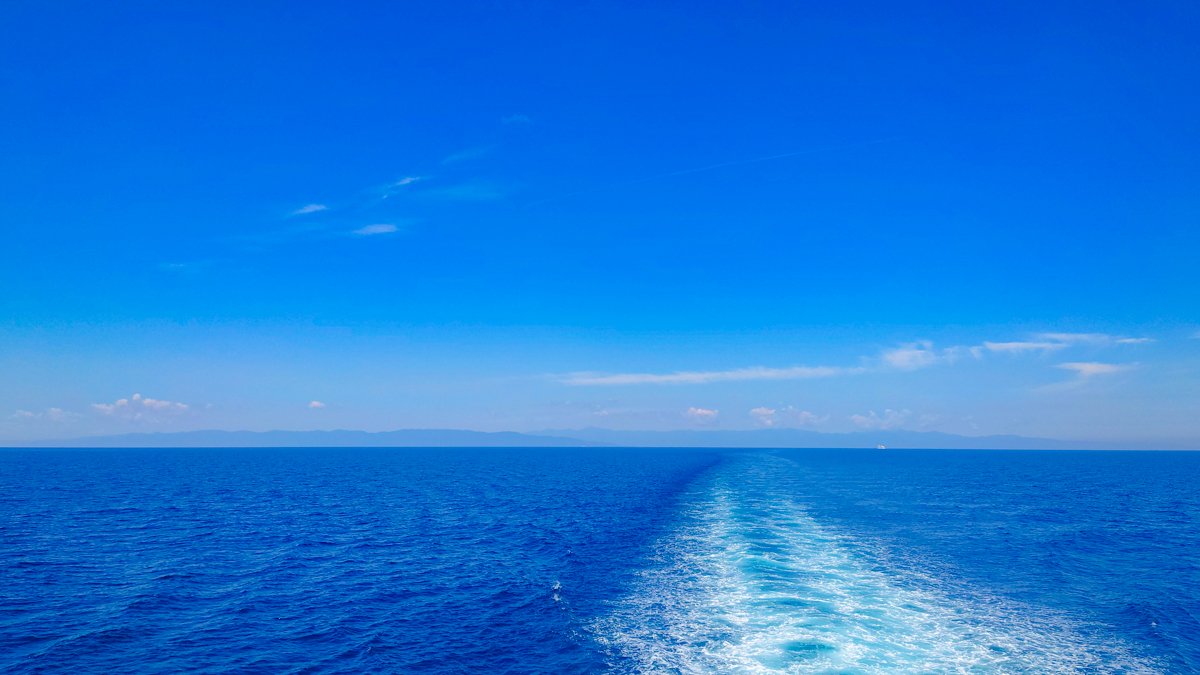 ★漁終了しました・仕入れ値が超大幅アップ！！越後産・銀毛鮭からとりだした生いくら1キロ！！美味しい漬け方お教えいたします！ マテ貝の通販 | 食品・スイーツの価格比較ならビカム