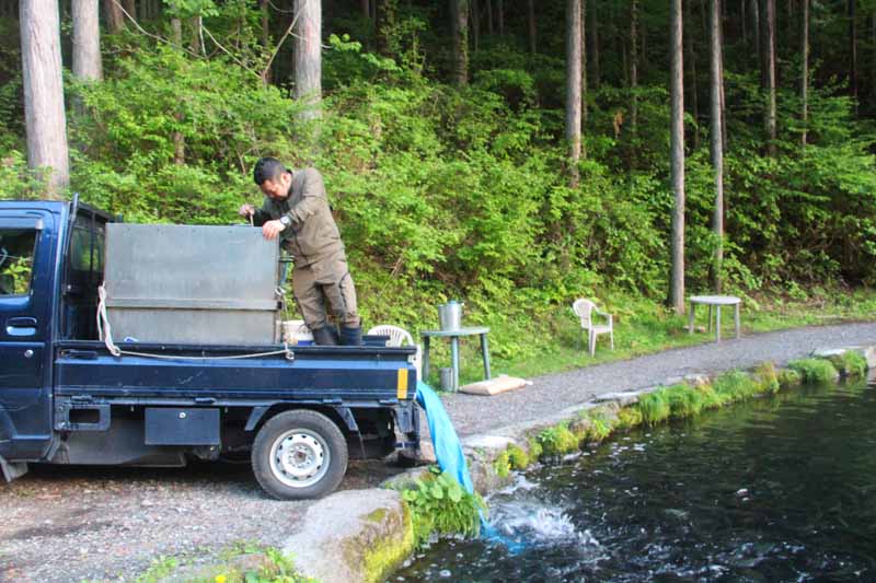 明日の放流について | 小菅トラウトガーデン ブログ