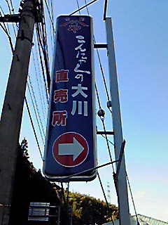 201001241128000.jpg