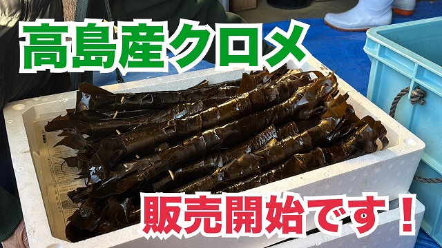 クロメ漁解禁! | 関想記~北海部郡より発信~