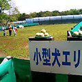 20060430_165596.jpg