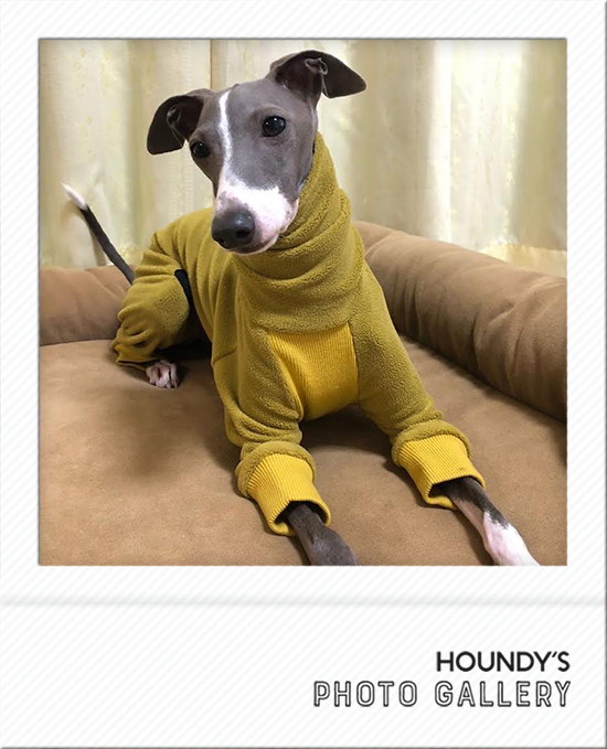 メッシュロンパース(蛍光オレンジ) イタグレ服 ロンパース 犬服