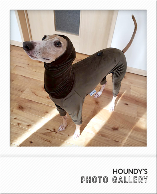 琥珀です。様　イタグレ服　ハンドメイド 琥珀です。様 イタグレ服 ハンドメイド