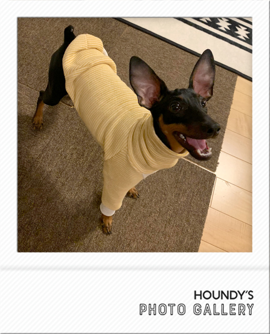 【ミニピン トイマン イタグレ ウィペット】クラシカルフリース カバーオール ミニピン トイマン イタグレ ウィペット】クラシカルフリース カバーオール