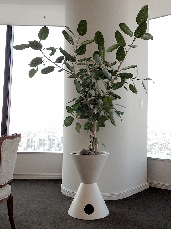 Architectural Pottery | YARD