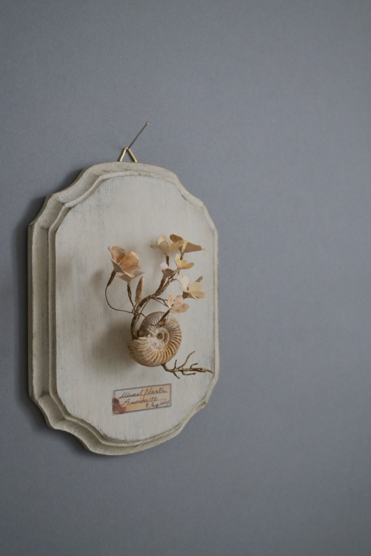 3F]kopfkino個展「空想植物標本」 | ranbu