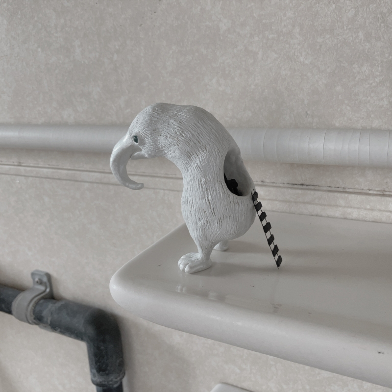 2F]ranbu企画展「鏡の中の世界」 | ranbu