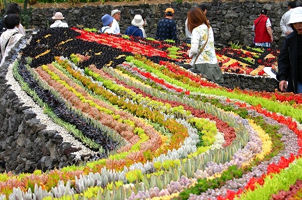 静岡県営公園 浜名湖ガーデンパーク その1 想い出の花博会場 | 質素な写真展示室