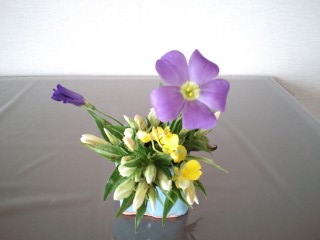 トルコキキョウ・生花一種生 | 生け花日記