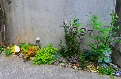 小さな植え込み | pave-page garden design blog