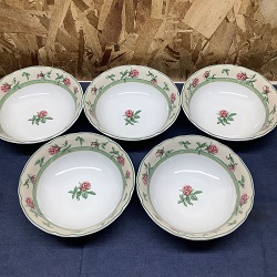 食器 画像 フッチェンロイター HUTSCHENREUTHER バークレーン 深皿5枚セット