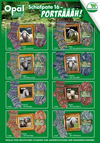 2024‐05-25 2024年Opal新作毛糸紹介Part1 | KFS Official Blog