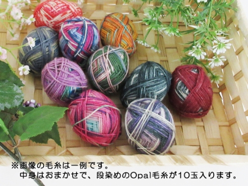 たまこ 2024-07-12 「気仙沼たまご ミックス」登場！ | KFS Official Blog