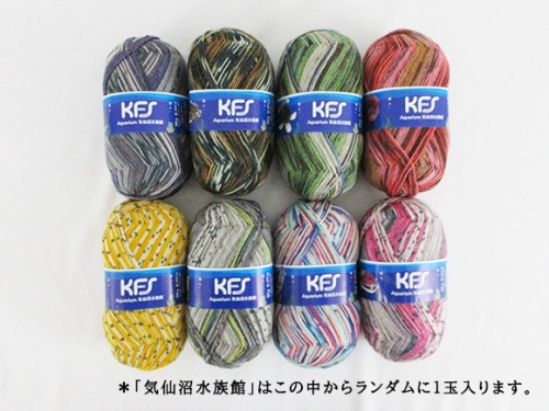 2025-01-09 【予告】《数量限定・企画商品》「KFSスペシャル 2025-01-09 【予告】《数量限定・企画商品》「KFSスペシャル