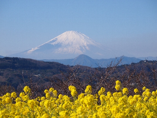 ʻफ鸫ٻλȺڤβ