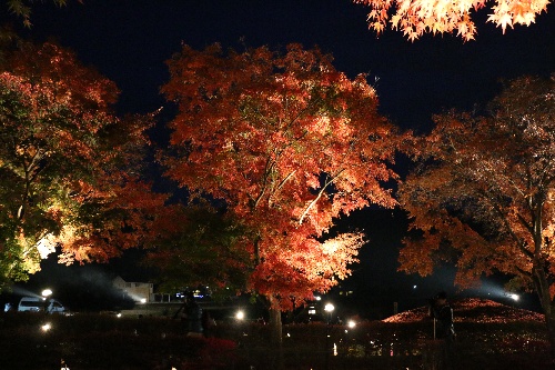 ϸʤιդΥ饤ȥå