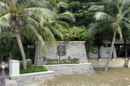 ココナッツ ヤシの木 ぶ厚 剥げて南国 バリ島 絵画 アートパネル