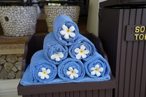 中国骨董 古美術 清朝青花草無花果紋 壷 【公式通販】