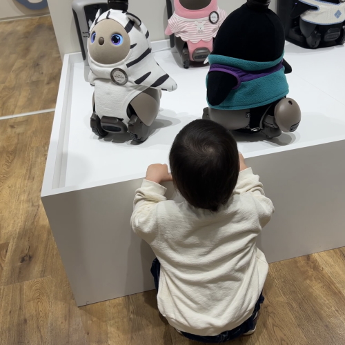 スーパーセール期間限定 ソテツ（かっちょいい子供たくさん付き）（裏面切軸カットあり 常緑樹