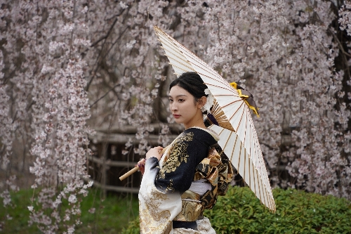 草色の地に黒のラインと舞い飛ぶ蝶が粋な美しさの、注染めの浴衣です 草色の地に黒のラインと舞い飛ぶ蝶が粋な美しさの、注染めの浴衣です