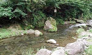 20130424p501.jpg