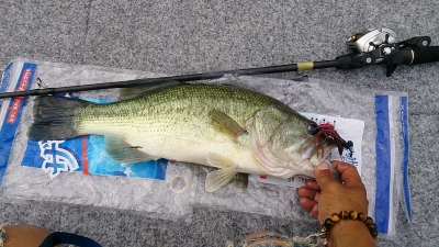 TENRYU｜天龍 釣具事業 スタッフブログ