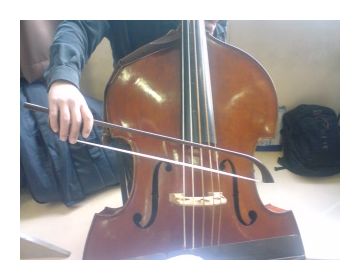 ドラゴネッティ弓 | ほーほの落穂拾い