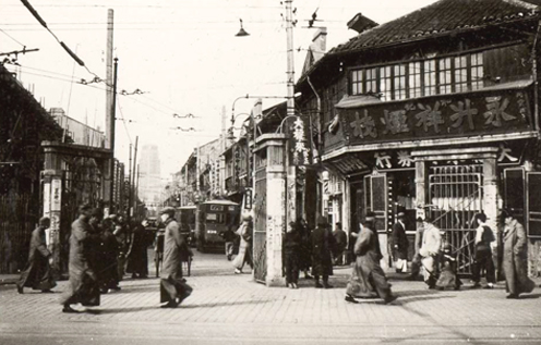 老上海 | もしもノガンを飛べたなら。