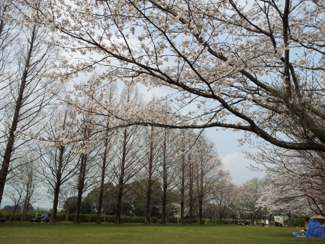 20130323_124930.jpg