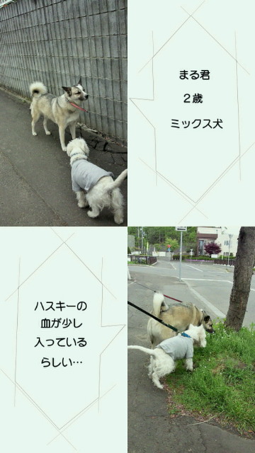 201205231837000.jpg