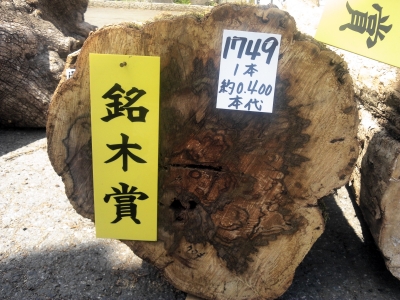 今月の市場 黒柿の原木 | 切々と語る楔（せつせつとかたるせつ）