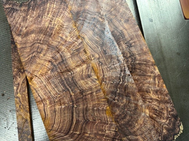 材料紹介 ココボロの杢、こぶ杢 | 切々と語る楔（せつせつとかたるせつ）